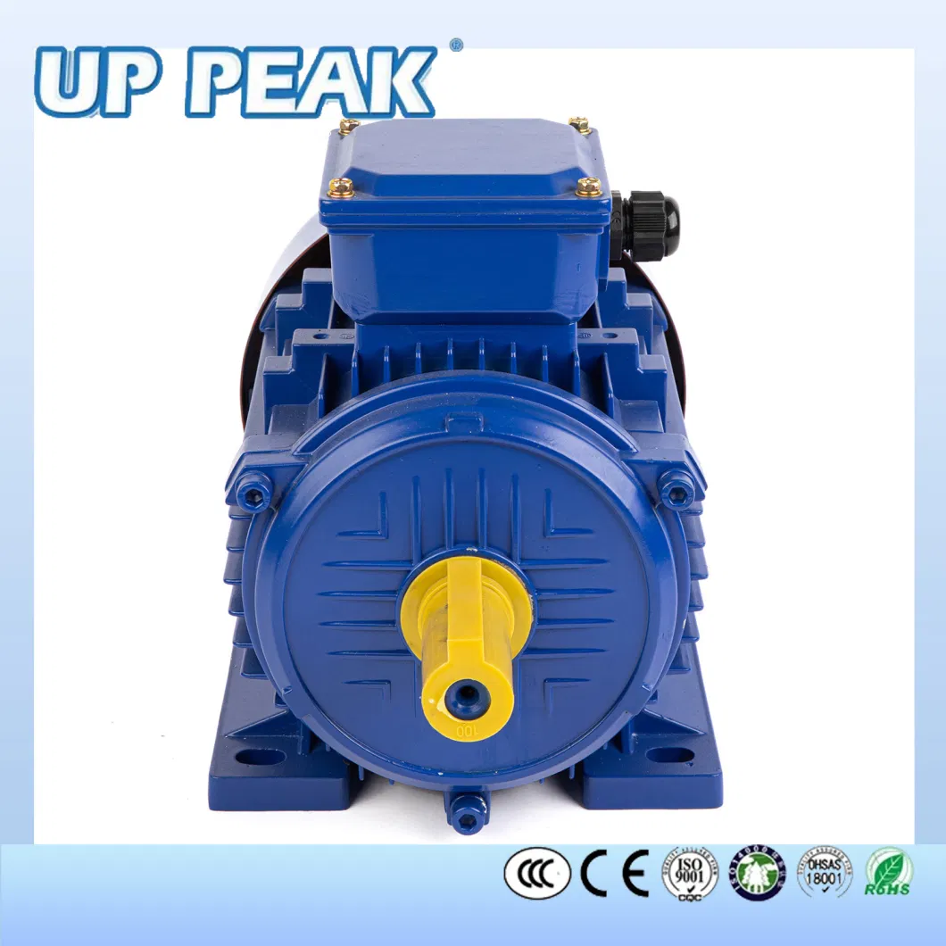 Three Phase Electric Motor CCC CE for Pump Fans, OEM High Efficiency Motor