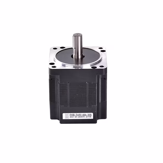 Motore DC senza spazzole con dispositivo di raffreddamento ad aria BLDC a magnete permanente 12V 24V 36V 40V 48V 72V 250W 300W 450W 500W 600W 750W 800 Watt 2800 giri/min